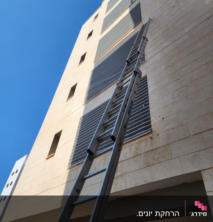 סולם מתכת נשען על קיר בניין גבוה